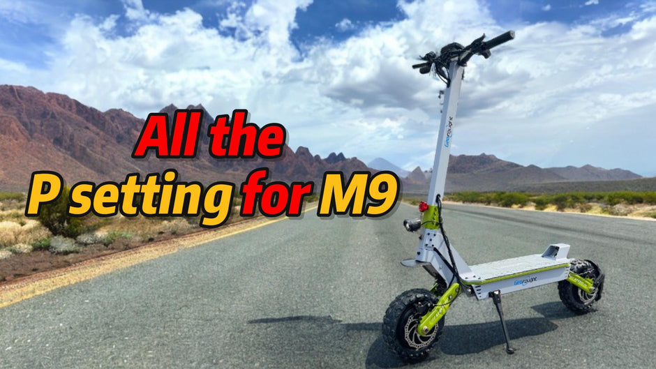 All the draft P setting for M9 Geofought scooter?