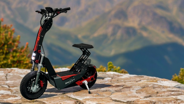 Which Electric Scooter to Choose? Simple vs. Multi-Functional