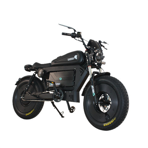 USA Stock SK-1 60V 3000W 45AH Ebike 100km Range NFC Anti-theft Electri